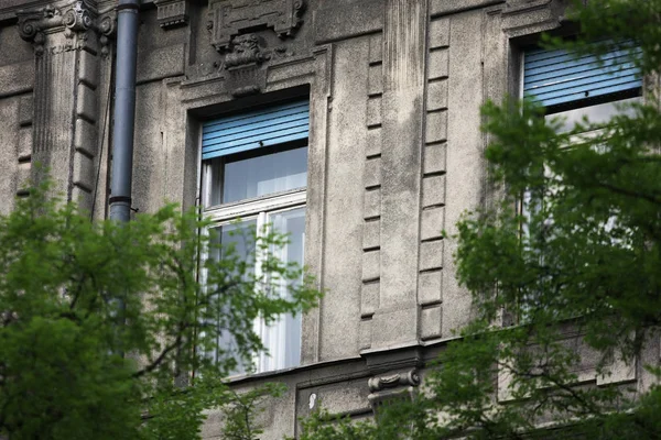 Ventana Edificio Viejo Detrás Las Ramas Verdes — Foto de Stock