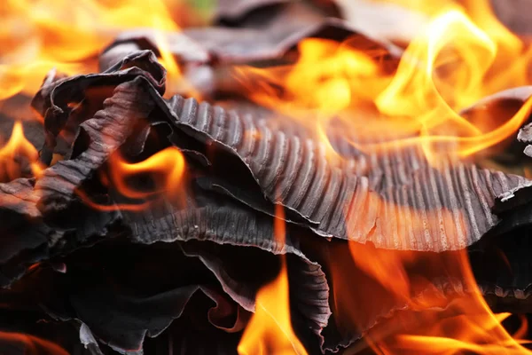 Yanan ateşin yakın görüntüsü