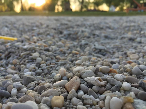 White Seashell Small Pebbles — Stock Photo, Image