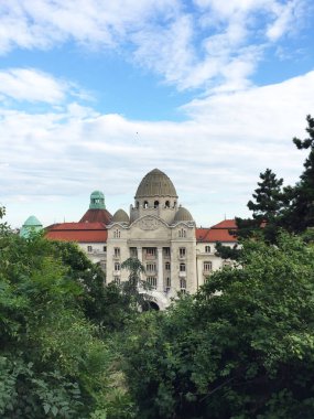 Ağaçların üzerinden eski bina yükseliyor