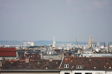 Budapeşte kuşları manzaralı