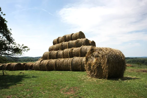 Malerischer Blick Auf Das Schöne Sommerfeld — Stockfoto