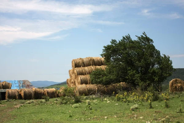 Malebný Pohled Hromadu Balíků Sena — Stock fotografie