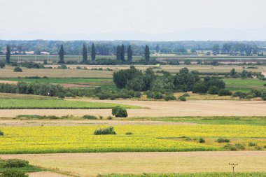 Tarımsal tarlaların hava manzarası