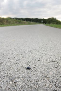  Yol yüzeyindeki küçük hatanın yakın görüntüsü