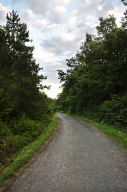  Parktaki boş yolun manzarası.