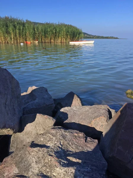 Vue Sur Lac Balaton Avec Roseaux Bateau — Photo