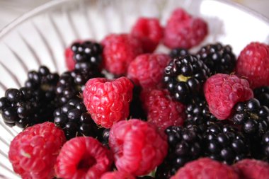 Cam kasede ahududu ve böğürtlen