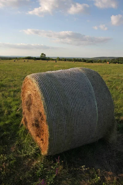黄昏时分带草包的夏季风景景致 — 图库照片