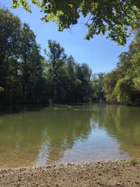 Gündüz vakti yeşil ağaçlar ve nehirle park et.