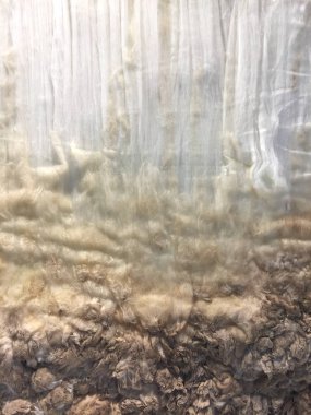 metin veya resim için alanı olan grunge arkaplanı