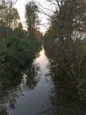 Ormandaki güzel nehir, manzaralı manzara.