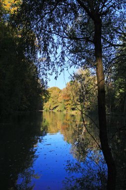 Renkli yeşilliklere sahip sonbahar parkı