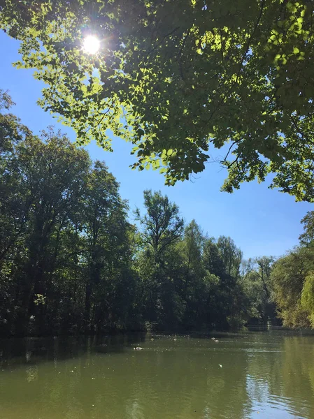 Park Zielonymi Drzewami Rzeką Dzień — Zdjęcie stockowe