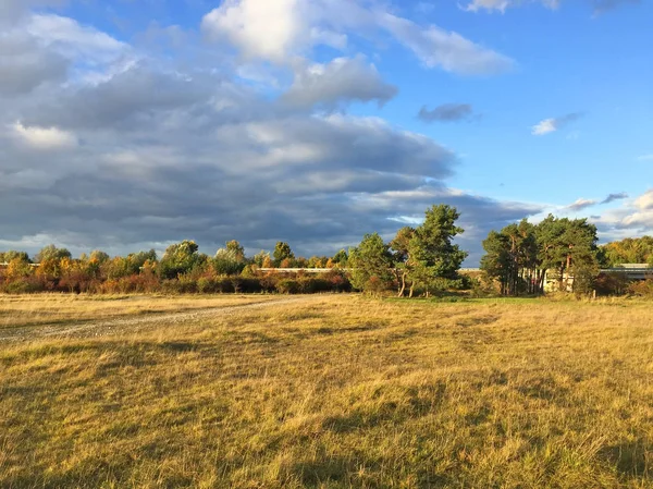 Paisaje Campo Por Bosque — Foto de Stock