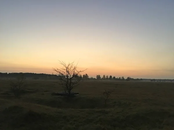 Landscape Field Sunset Time — Stock Photo, Image