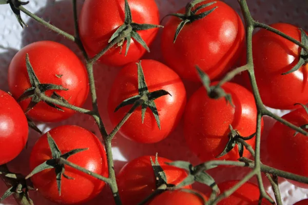 Vista Close Tomates Vermelhos Maduros — Fotografia de Stock