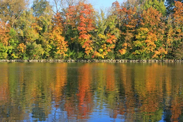 Parco Autunnale Con Fogliame Colorato — Foto Stock