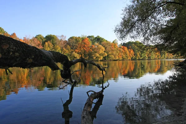 Jesienny Park Kolorowymi Liśćmi — Zdjęcie stockowe