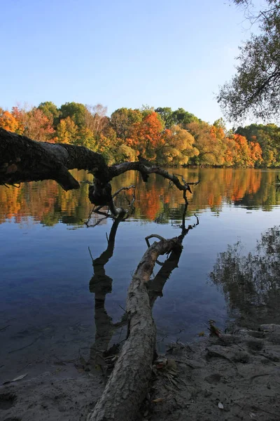Jesienny Park Kolorowymi Liśćmi — Zdjęcie stockowe
