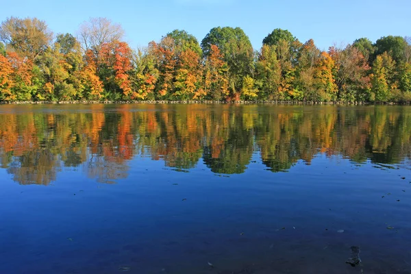 Jesienny Park Kolorowymi Liśćmi — Zdjęcie stockowe