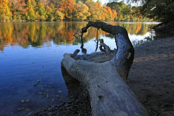 Herbstlicher Park Mit Buntem Laub — Stockfoto
