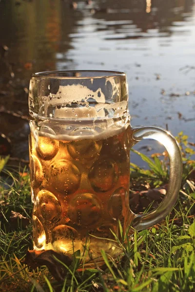 Obrovské Pivo Sklenice Trávě Osvětlené Sluncem Břehu Jezera — Stock fotografie