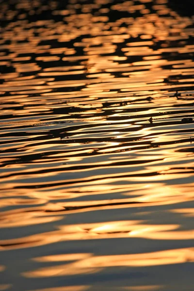 日落时波涛汹涌的河水 — 图库照片
