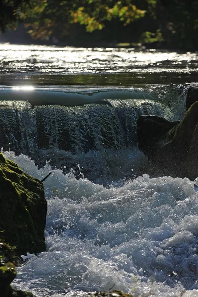 Forêt Avec Cascades Pierres Mousseuses Dans Eau Rivière — Photo