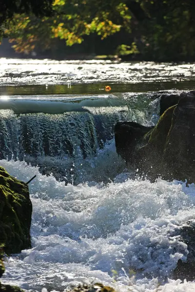 Forêt Avec Cascades Pierres Mousseuses Dans Eau Rivière — Photo