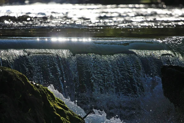 Wald Mit Wasserfällen Und Bemoosten Steinen Flusswasser — Stockfoto