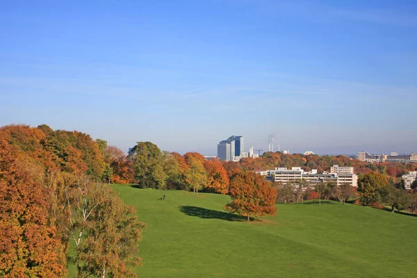 紅葉の美しい秋の公園 — ストック写真