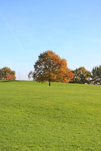 紅葉の美しい秋の公園 — ストック写真