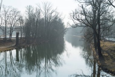 Sonbahar parkında sisli bir nehir
