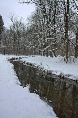 Kar ve soğuk nehri olan kış parkı