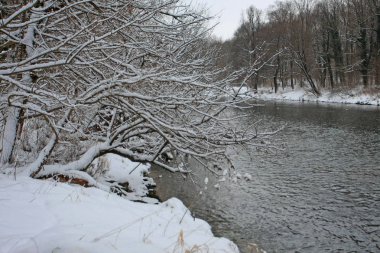 Kar ve soğuk nehri olan kış parkı