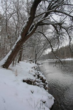 Kar ve soğuk nehri olan kış parkı