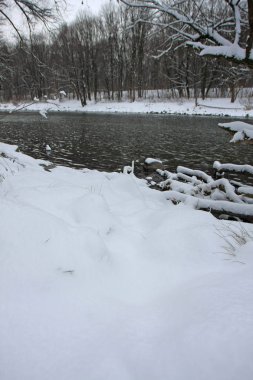 Kar ve soğuk nehri olan kış parkı
