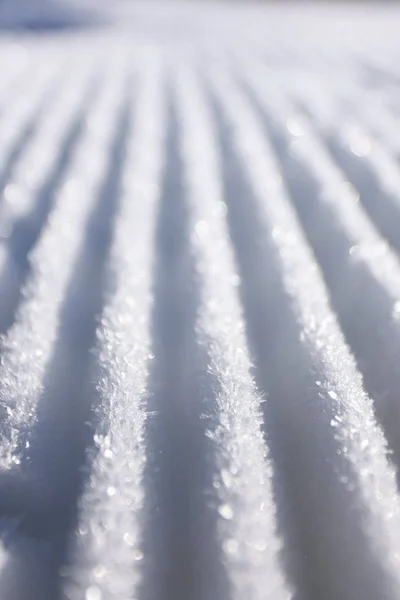 Snow Covered Ground Winter Time — Stock fotografie