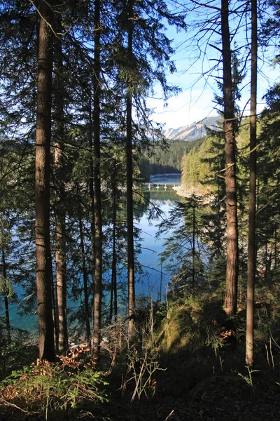 Landschaft Der Herbstlichen Berge Mit Fluss — Stockfoto