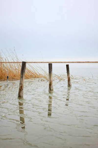 호수가 — 스톡 사진
