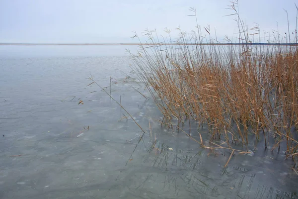 Vista Panorámica Del Lago Congelado Parque Invierno —  Fotos de Stock