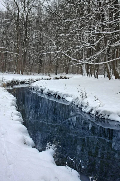 Parque Inverno Com Neve Rio Frio — Fotografia de Stock