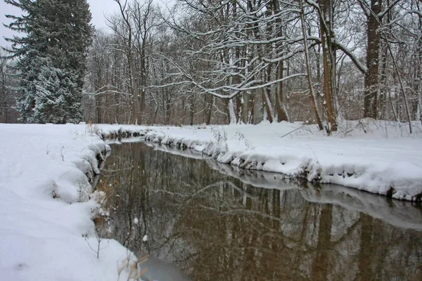 Parque Inverno Com Neve Rio Frio — Fotografia de Stock