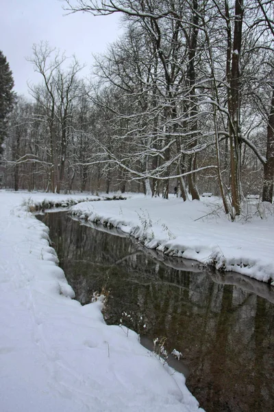 Kar ve soğuk nehri olan kış parkı