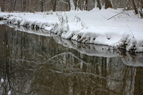 Parque Inverno Com Neve Rio Frio — Fotografia de Stock