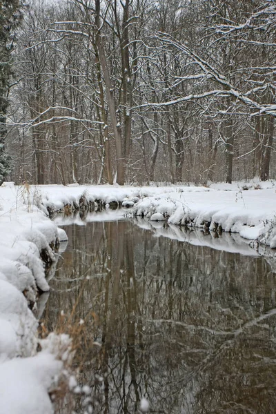 Winterpark Mit Schnee Und Kaltem Fluss — Stockfoto