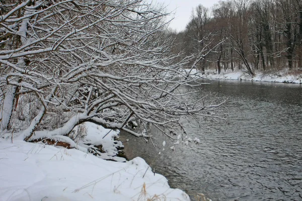 Kar ve soğuk nehri olan kış parkı