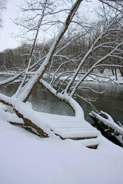 Χειμερινό Πάρκο Χιόνι Και Κρύο Ποτάμι — Φωτογραφία Αρχείου
