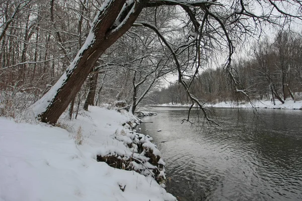 Parque Inverno Com Neve Rio Frio — Fotografia de Stock